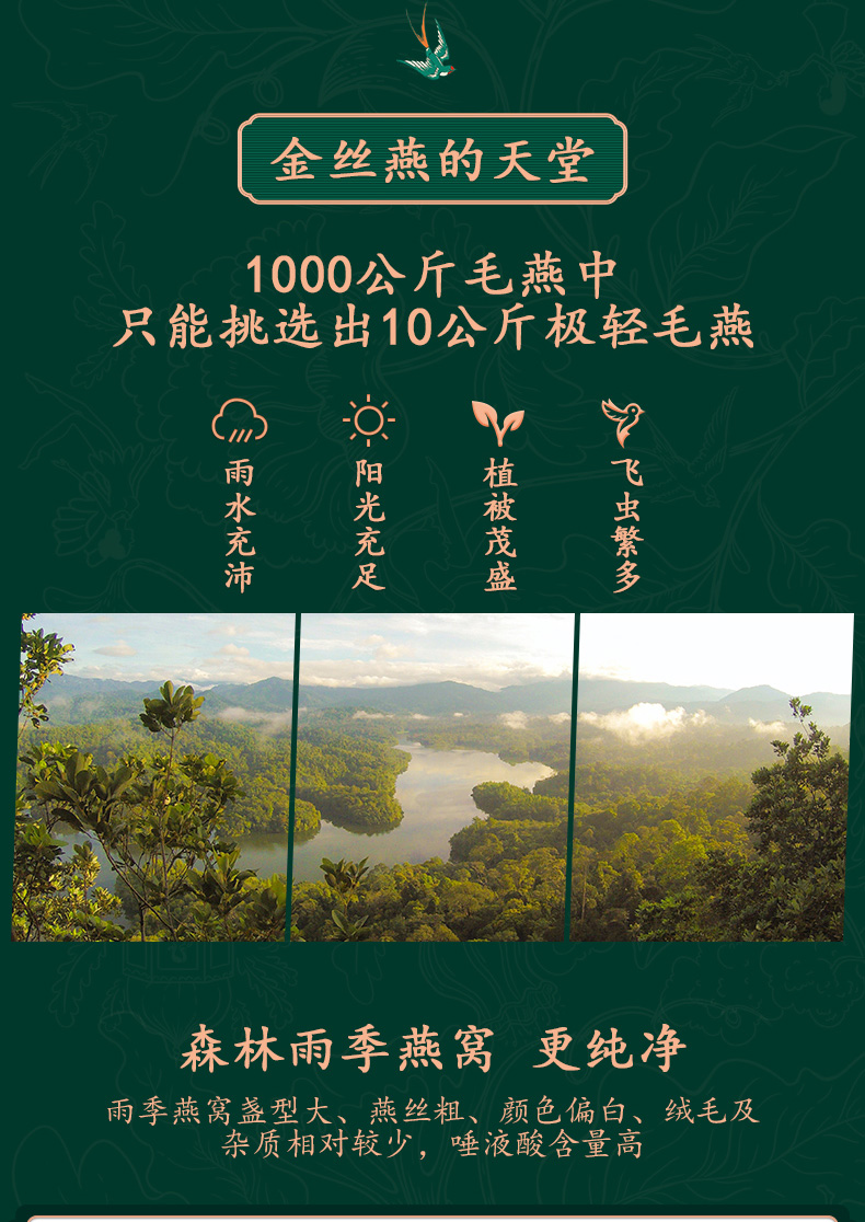 描述9.jpg