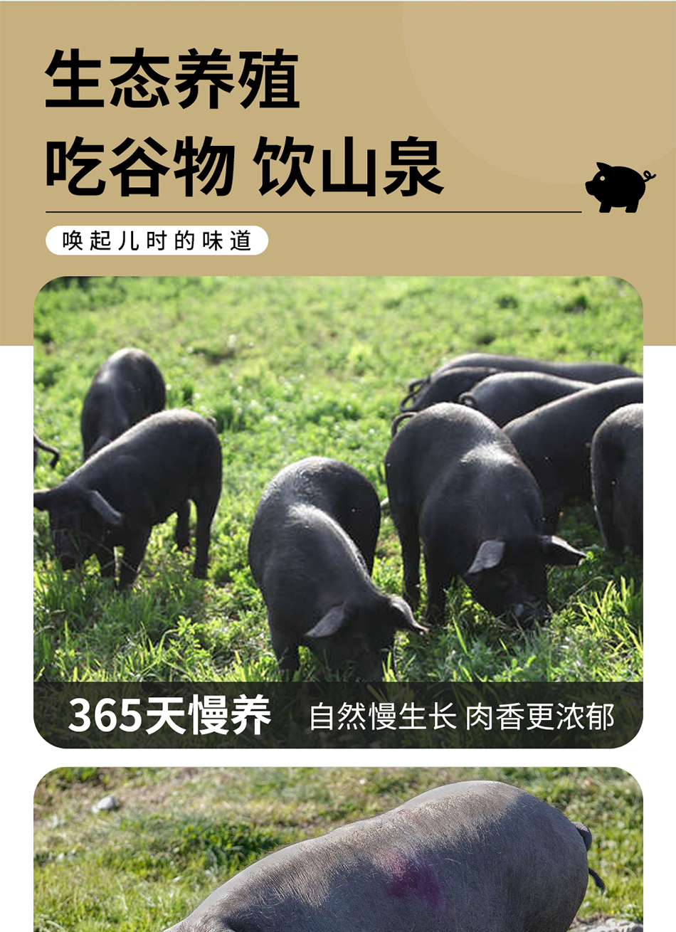 1744352850534990.png 黑猪肉E款5.png