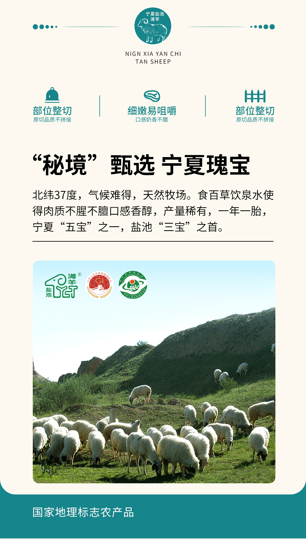 1743565264262241.png 盐池滩羊A4.png