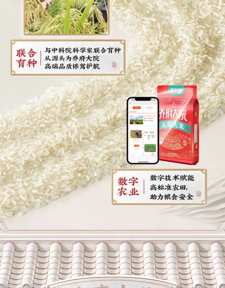 1744187784666248.png 乔府大院 红金色 5kg10.png