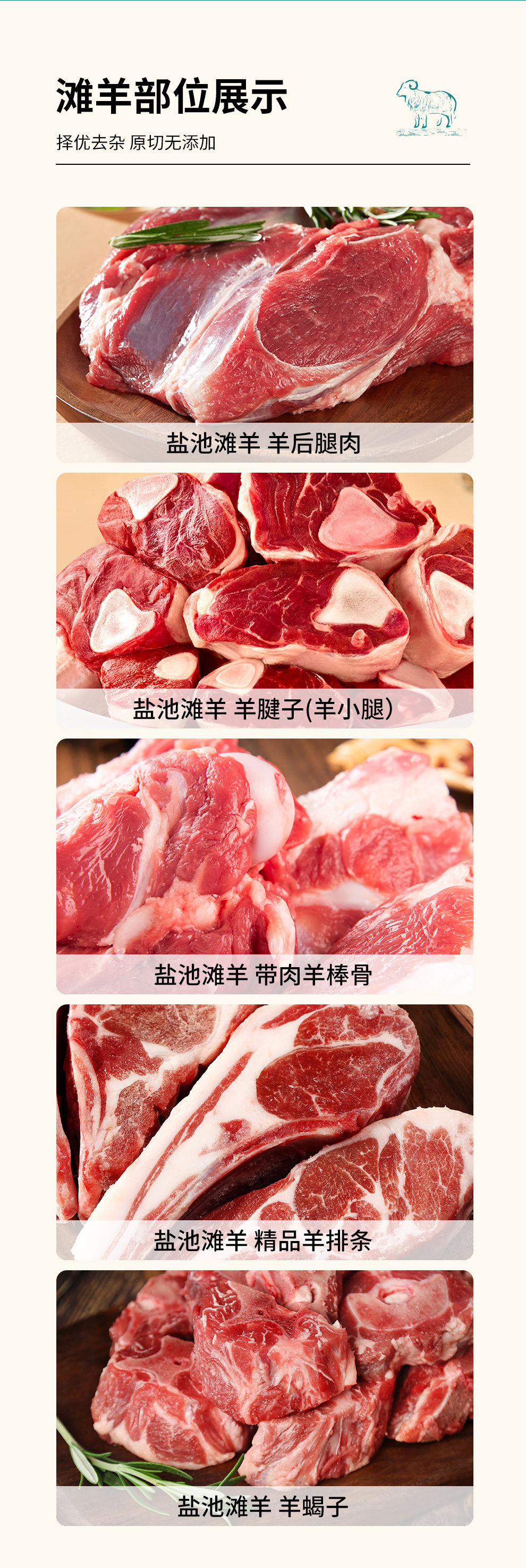 1744170666533303.png 盐池滩羊D6.png