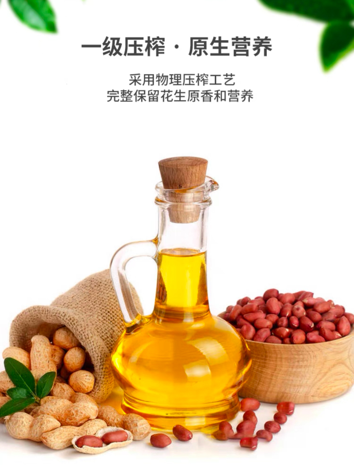 1744275654428059.png 淇花压榨一级花生油5L3.png