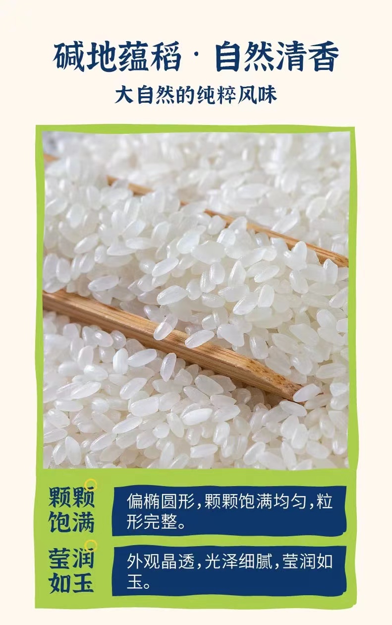 1744612485721573.png 隆平芯米5.png