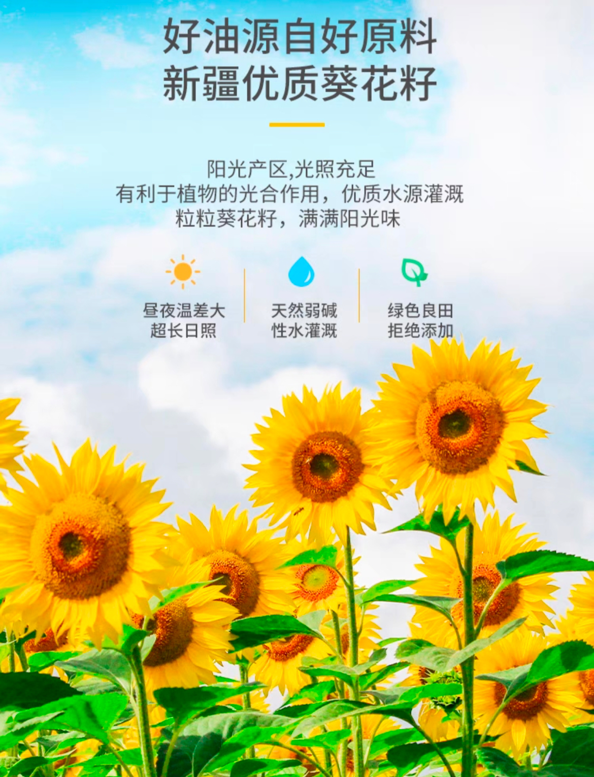 1744512896514098.png 淇花葵花籽油5L3.png