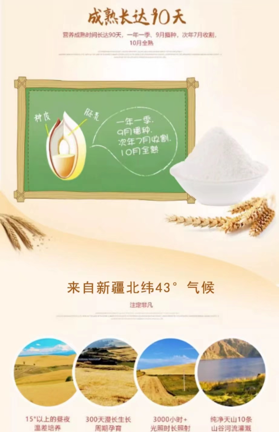 1743664498725391.png 新疆丝麦耘小麦粉5kg4.png