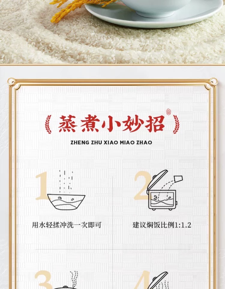 1744187826875380.png 乔府大院 红金色 5kg16.png