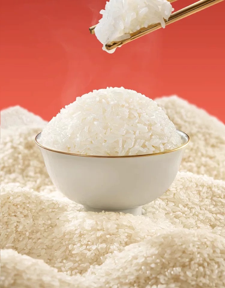 1744187812425803.png 乔府大院 红金色 5kg14.png