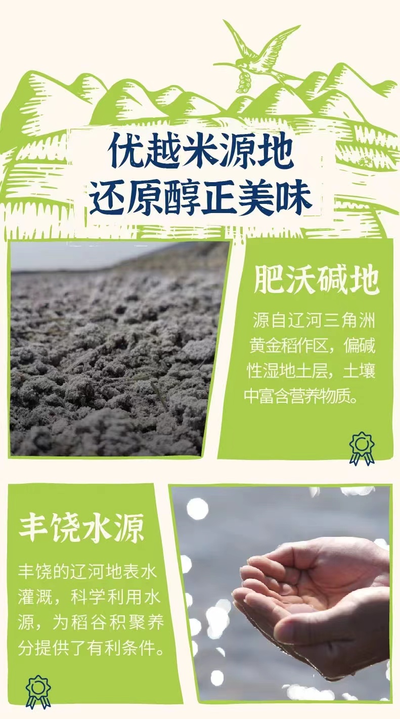 1744612497930435.png 隆平芯米7.png