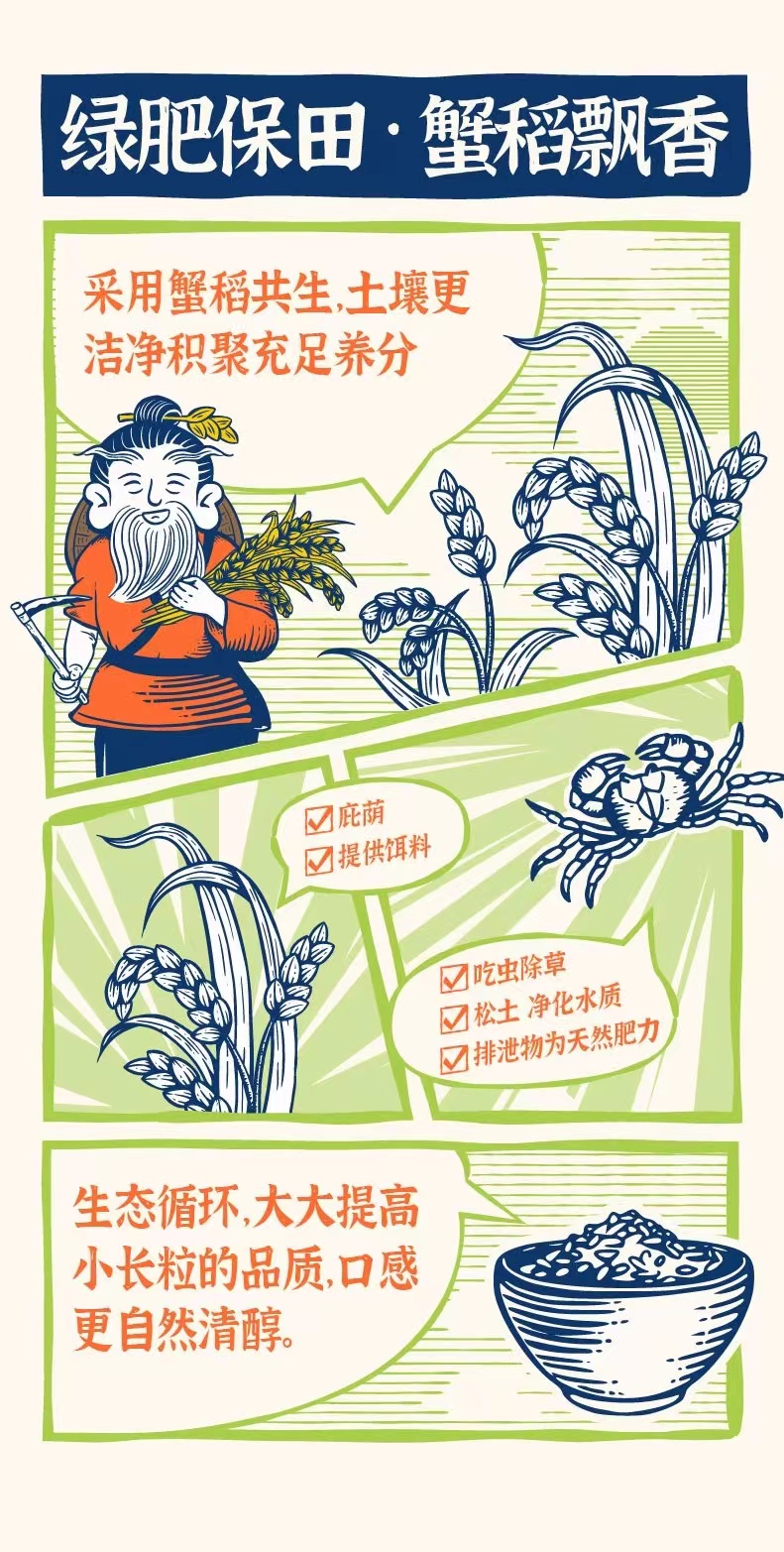 1744612479803362.png 隆平芯米4.png