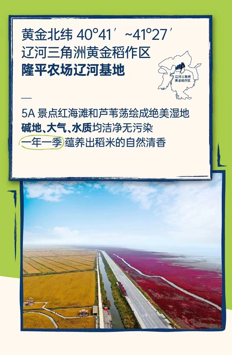 1744612472463572.png 隆平芯米3.png