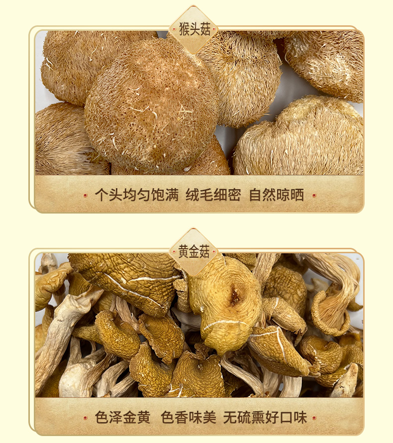 1744686679970836.png 沐语山菌6.png