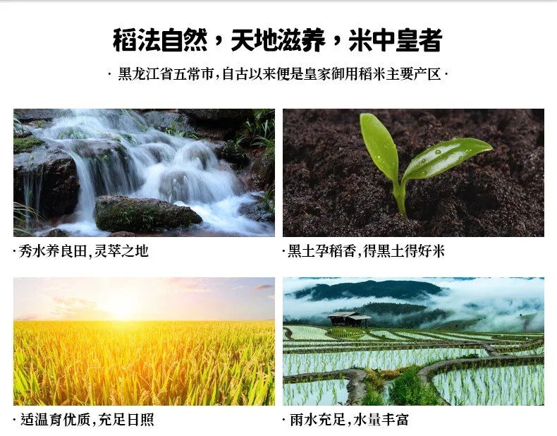 乔府大院福禄双至 5kg12.png