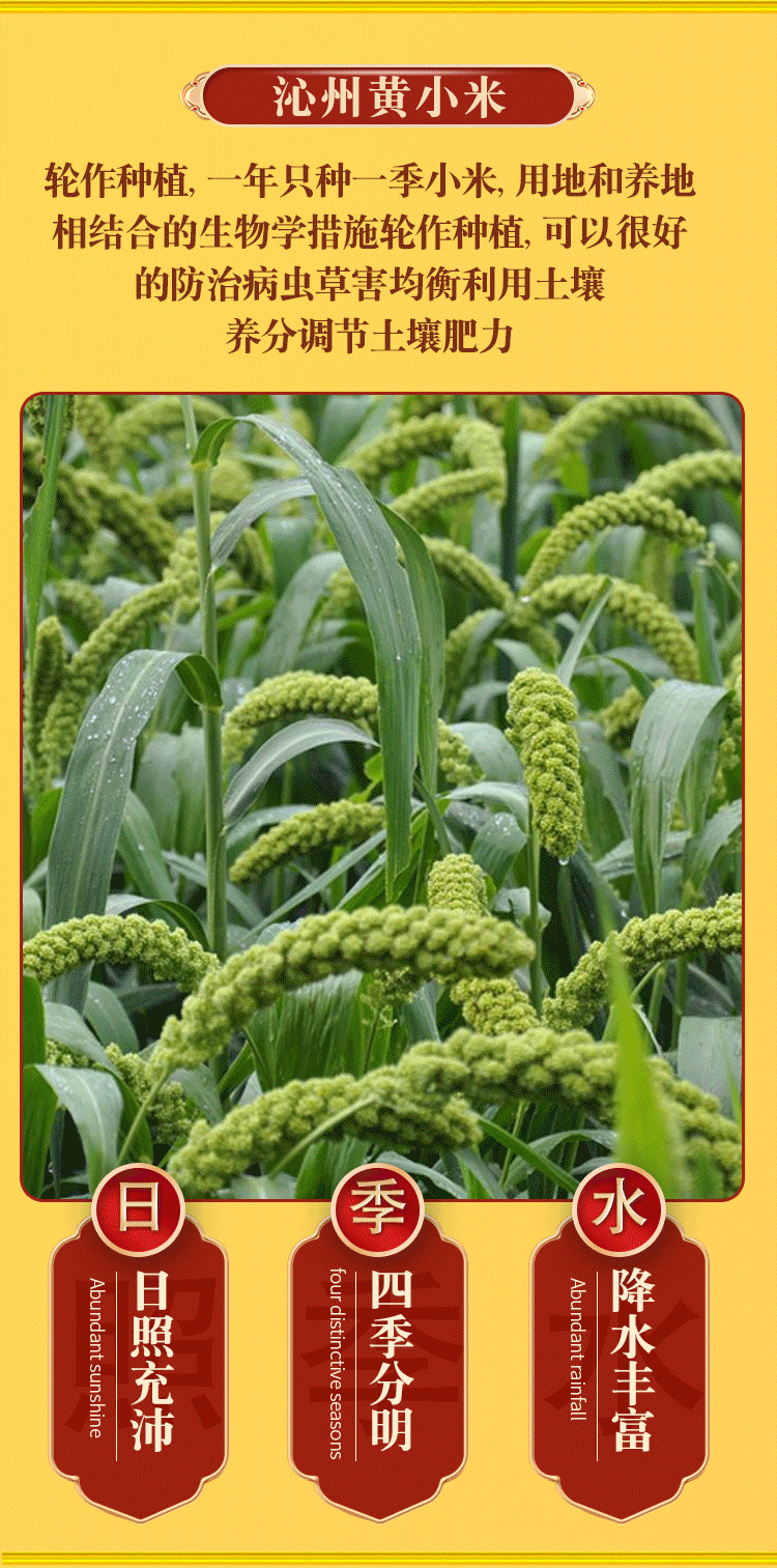 1744263599496669.png 晋元亨2千克礼盒4.png